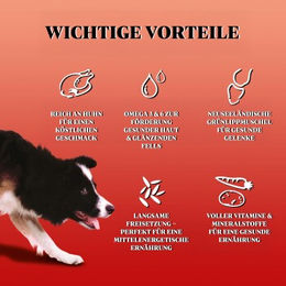 GILPA Kennel Hundefutter für große und riesige Rassen Adult Huhn Geflügel 15 kg - 15 kg – Bild 1 von 2