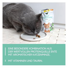 GimCat Crunchy Snacks Ente mit Katzenminze Katzenleckerli 140 g - 140 g – Bild 1 von 6