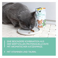 Produktbild von GimCat Crunchy Snacks Ente mit Katzenminze Katzenleckerli 140 g - 140 g