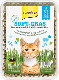 GimCat Katzengras zur Unterstützung der Verdauung und gegen Haarballen 150 g - 150 g – Bild 1 von 5