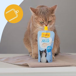 GimCat Katzenmilch laktosereduziert für erwachsene Katzen mit Calcium 200 ml - 6 x 200 ml