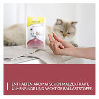 Produktbild von GimCat Malt Tabs Katzensnack zur Unterstützung der Verdauung und Haarballenkontrolle 40 g - 40 g