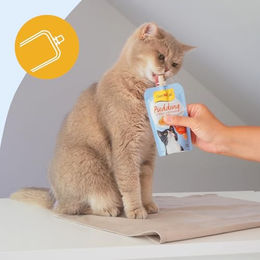 GimCat Pudding mit Käse Cremiger Katzen-Snack mit Milch für alle Altersstufen 100 g - 100 g – Bild 1 von 5
