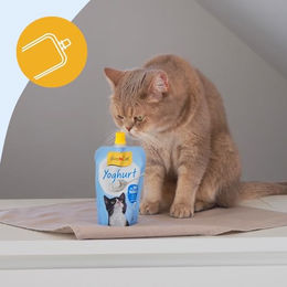 GimCat Yoghurt Katzensnack für Katzen mit Creme für Gelenke und Knochen sowie Verdauung 150 g - 150 g – Bild 1 von 13