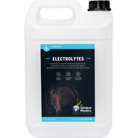 Produktbild von Global Medics Electrolytes Liquid 5 L