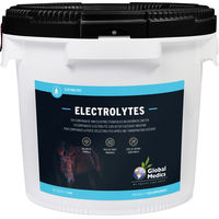 Produktbild von Global Medics Elektrolyte Pulver 5 kg