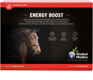 Global Medics Energy Boost Nahrungsergänzung mit Vitaminen zur Unterstützung des Energiestoffwechsels 6 x 60 g – Bild 1 von 2