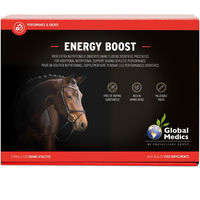 Produktbild von Global Medics Energy Boost Nahrungsergänzung mit Vitaminen zur Unterstützung des Energiestoffwechsels 6 x 60 g