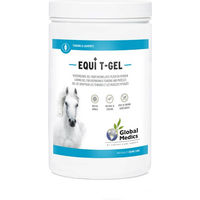 Produktbild von Global Medics Equi T-Gel für Pferde 2 L