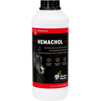 Produktbild von Global Medics Hemachol Nahrungsergänzung zur Blutbildung 1 L
