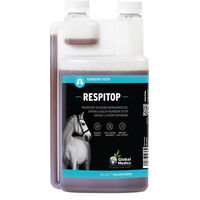 Produktbild von Global Medics Respitop zur Unterstützung der Atemwege 500 ml