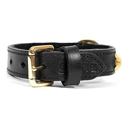 Gloria Hundehalsband aus Leder in Schwarz und Gold - 250 g – Bild 1 von 4