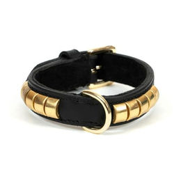 Gloria Hundehalsband Duna aus Leder in Schwarz und Gold 55 x 2,5 cm - 250 g – Bild 1 von 10