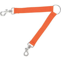Produktbild von GMT Outdoor Doppelleine für 2 Hunde aus Nylon in Orange