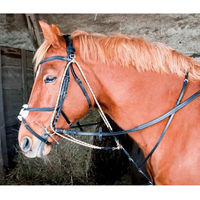Produktbild von Gogue T de T Halfter und Stricke für Ponys in Schwarz