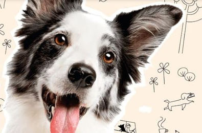 Golden Grey Hund Nassfutter Geflügel mit Pastinake und Brokkoli Getreidefrei Sensitive Adult 6 x 400 g – Bild 1 von 3