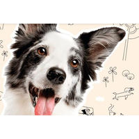 Produktbild von Golden Grey Hund Nassfutter Geflügel mit Pastinake und Brokkoli Getreidefrei Sensitive Adult 6 x 400 g