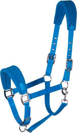 Goldhorse Fleecehalfter Allround Blau für Vollblut Pferde – Bild 1 von 1