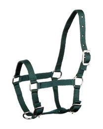 GOLDHORSE Fohlenhalfter für Ponys aus Polyester mit silberfarbenen Beschlägen in Grün – Bild 1 von 2