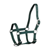 Produktbild von GOLDHORSE Fohlenhalfter für Ponys aus Polyester mit silberfarbenen Beschlägen in Grün