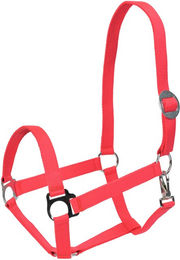 Goldhorse Halfter Basic – Bild 1 von 1