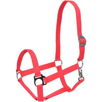Produktbild von Goldhorse Halfter Basic