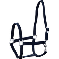Produktbild von Goldhorse Halfter Basic