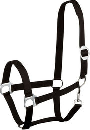 Goldhorse Halfter Basic unterlegt – Bild 1 von 1