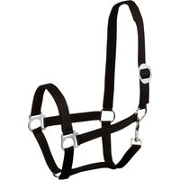 Produktbild von Goldhorse Halfter Basic unterlegt