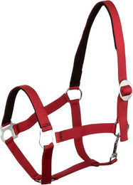 Goldhorse Halfter Basic unterlegt – Bild 1 von 1