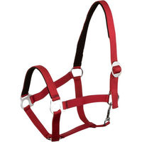 Produktbild von Goldhorse Halfter Basic unterlegt
