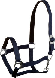 Goldhorse Halfter Basic unterlegt – Bild 1 von 1