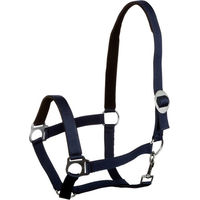 Produktbild von Goldhorse Halfter Basic unterlegt