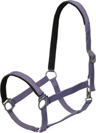 Goldhorse Halfter Basic unterlegt – Bild 1 von 1