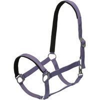 Produktbild von Goldhorse Halfter Basic unterlegt