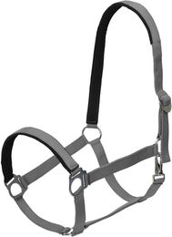 Goldhorse Halfter Basic unterlegt – Bild 1 von 1