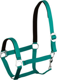 Goldhorse Halfter Basic unterlegt – Bild 1 von 1
