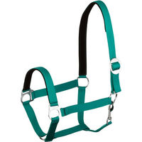 Produktbild von Goldhorse Halfter Basic unterlegt