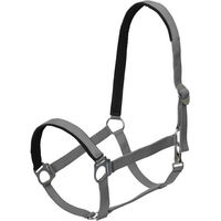 Produktbild von Goldhorse Halfter Basic unterlegt