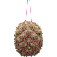 Produktbild von GOLDHORSE Heunetz Basic aus Nylon in Rosa oder Bunt