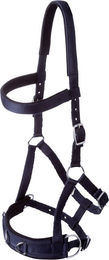 Produktbild von GOLDHORSE Kappzaum Basic aus Nylon für Warmblut in Blau oder Schwarz