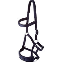 Produktbild von GOLDHORSE Kappzaum Basic aus Nylon für Warmblut in Blau oder Schwarz