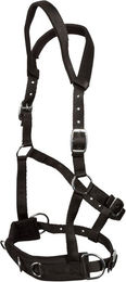 Produktbild von Goldhorse Kappzaum Basic aus Nylon in Schwarz für Warmblut
