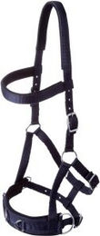 GOLDHORSE Kappzaum Basic für Ponys in Navy Blau aus Nylon – Bild 1 von 2