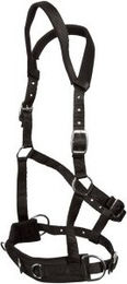 GOLDHORSE Kappzaum Basic für Ponys in Schwarz aus Nylon – Bild 1 von 2