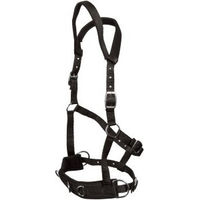 Produktbild von GOLDHORSE Kappzaum Basic für Ponys in Schwarz aus Nylon