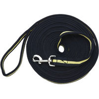Produktbild von Goldhorse Longe Basic Longierbedarf aus Polyester in Blau und Gelb