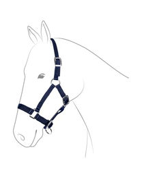 Produktbild von GOLDHORSE Pony Halfter mit silberfarbenen Beschlägen in Blau