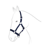 Produktbild von GOLDHORSE Pony Halfter mit silberfarbenen Beschlägen in Blau
