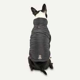 Goo-eez Hundemantel Mock Neck Signature Jacket wasserdicht Schwarz Größe XXL – Bild 1 von 3